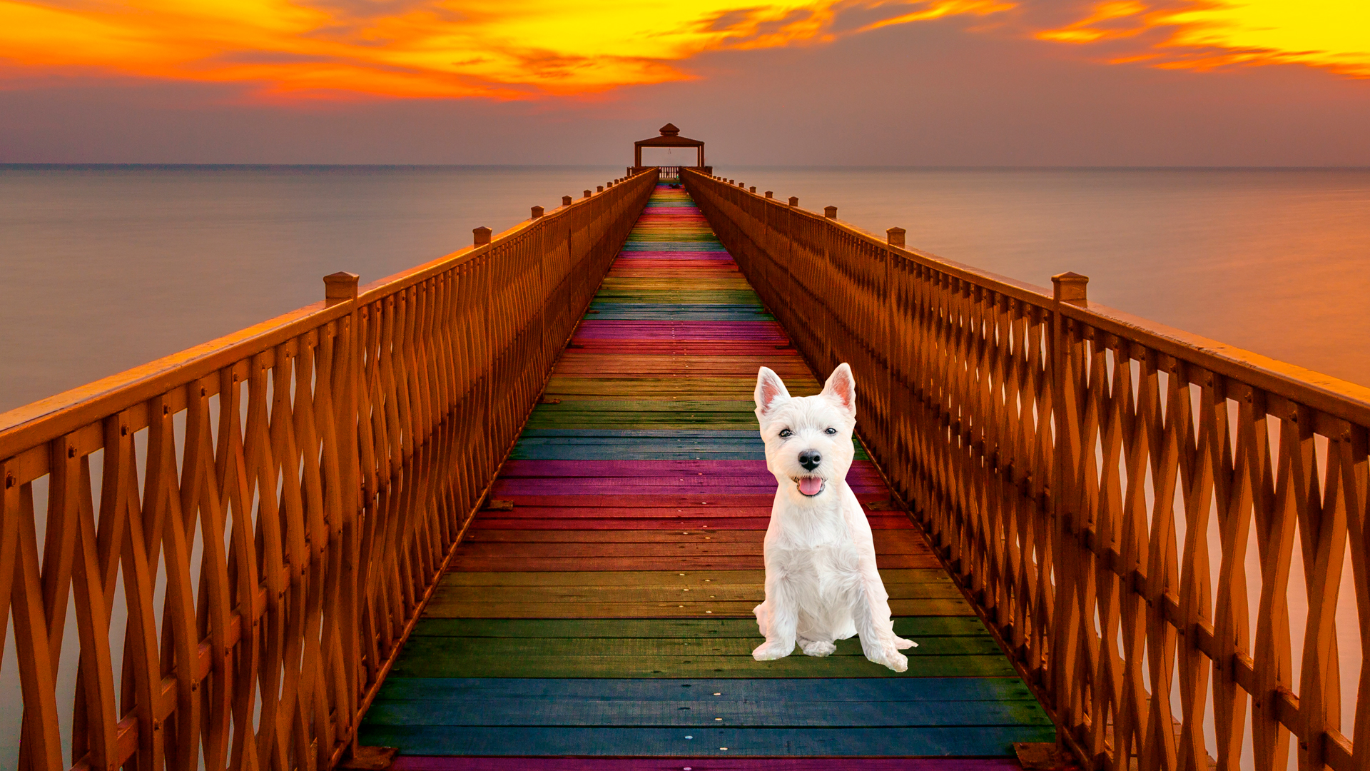 El puente del Arcoíris.