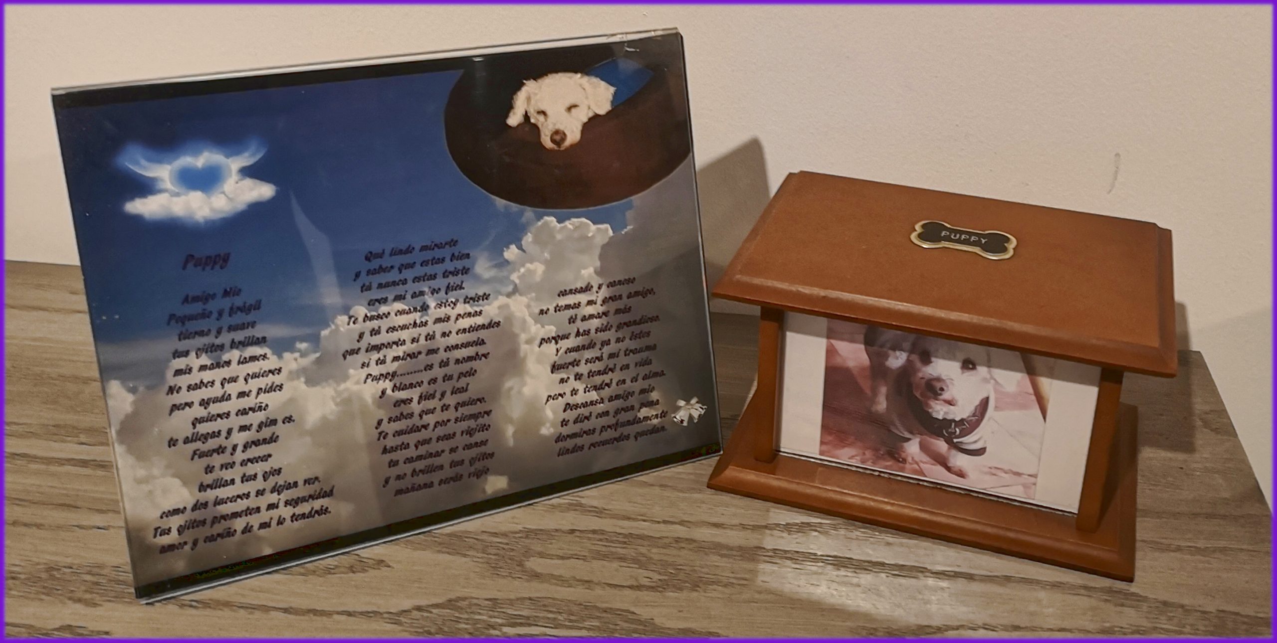 Poema a mi mejor amigo.