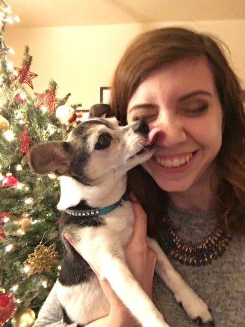 ¿Porque nos lamen los perros?