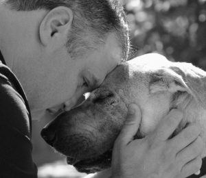 Cuando seas un perro viejo y me necesites.