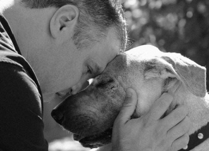 Cuando seas un perro viejo y me necesites.